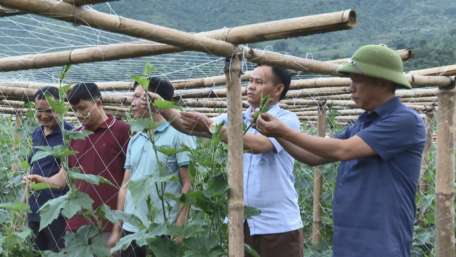 Lãnh đạo UBND huyện kiểm tra mô hình tại xã Mường Kim