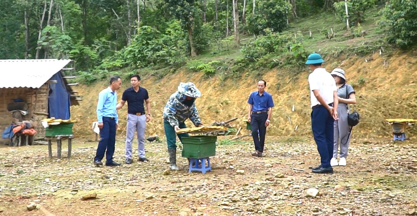 Lãnh đạo xã Pha Mu thăm mô hình ong tại bản Huổi Bắc