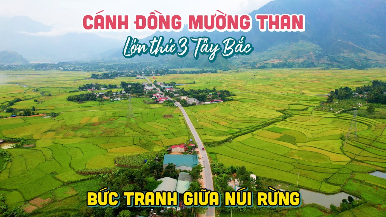 CÁNH ĐỒNG MƯỜNG THAN